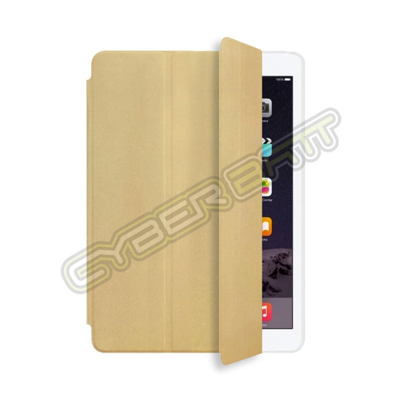 iPad mini 1/2/3 Case Gold